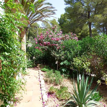 Villa Herdain Cielo de Bonaire المظهر الخارجي الصورة
