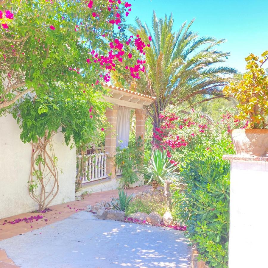 Villa Herdain Cielo de Bonaire المظهر الخارجي الصورة