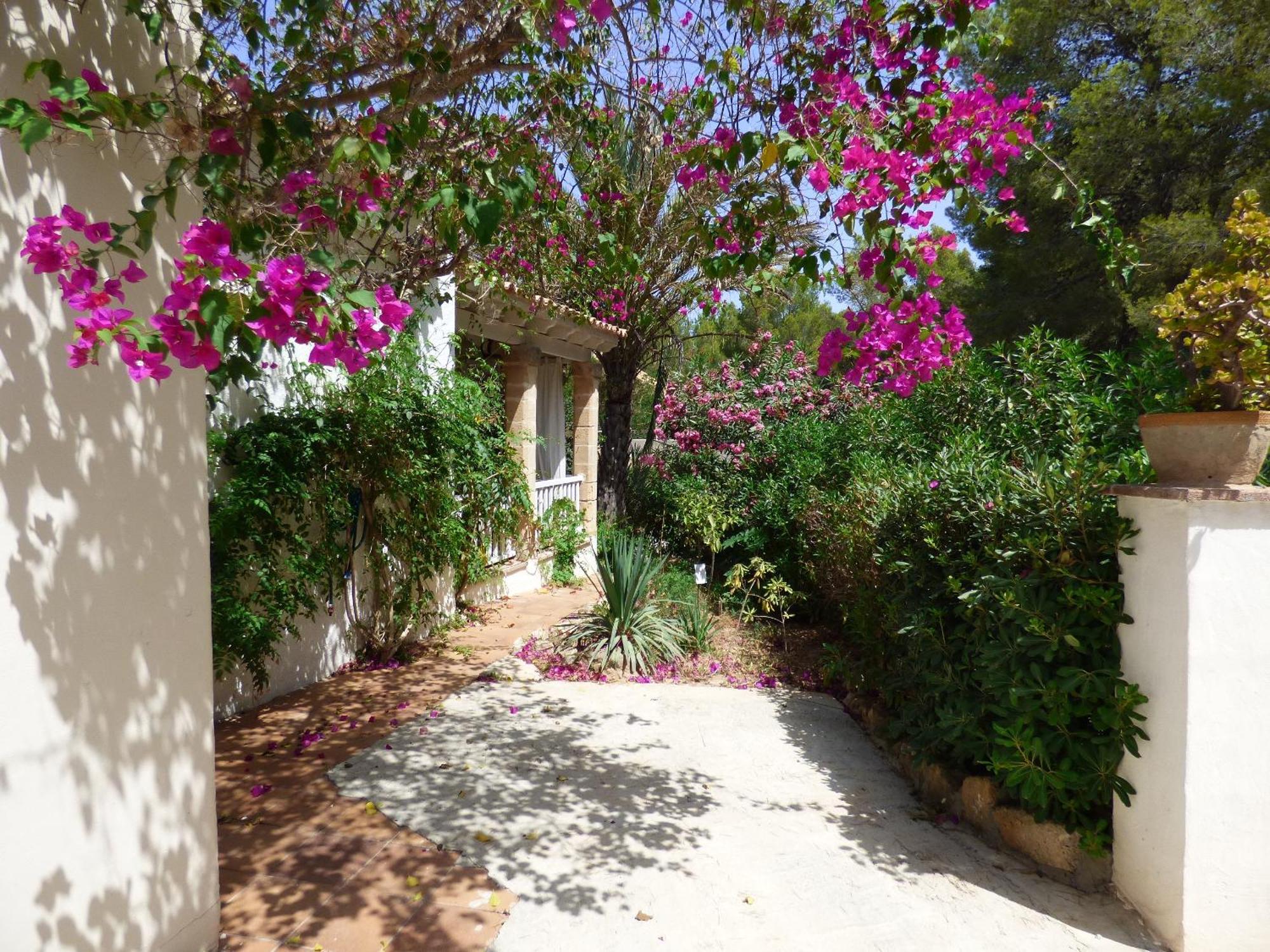 Villa Herdain Cielo de Bonaire المظهر الخارجي الصورة